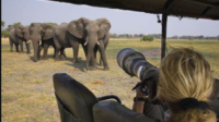 Fotografi Safari Afrika